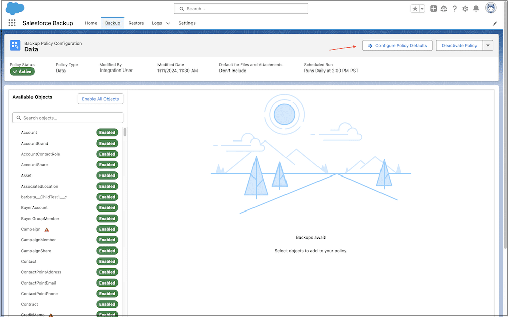 Salesforce Backup
