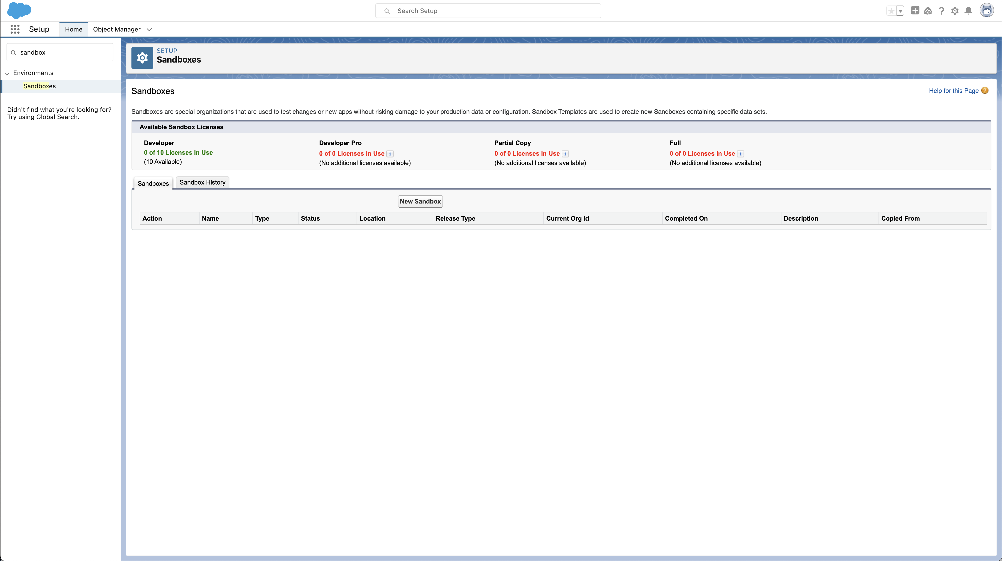 Salesforce sandbox screenshot