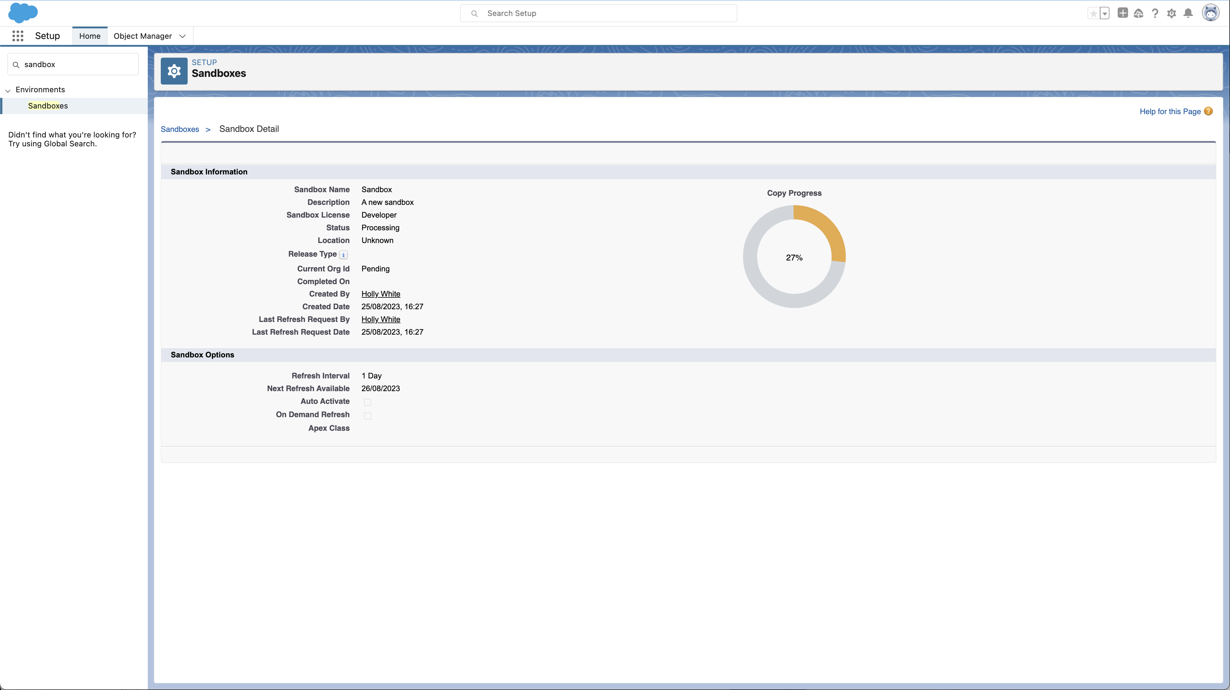 Salesforce sandbox screenshot