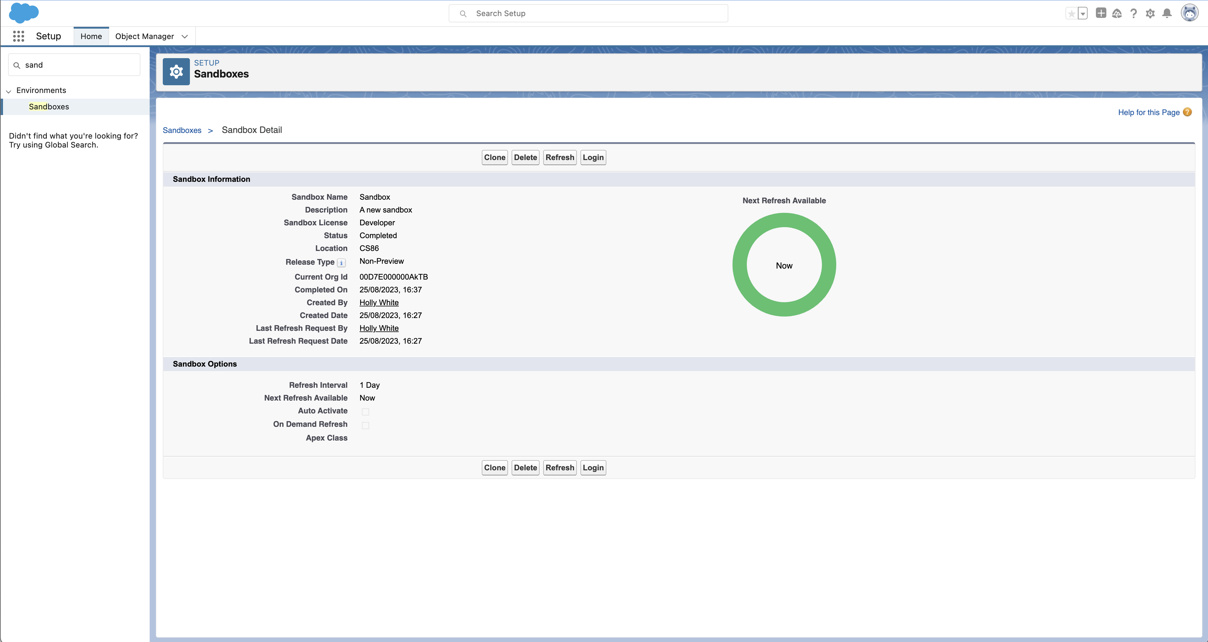 Salesforce sandbox screenshot